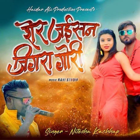 Sher Jaisan Jigra Gori | Boomplay Music
