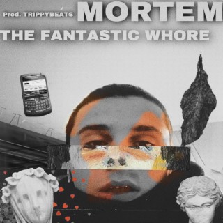 THE FANTASTIC WHORE