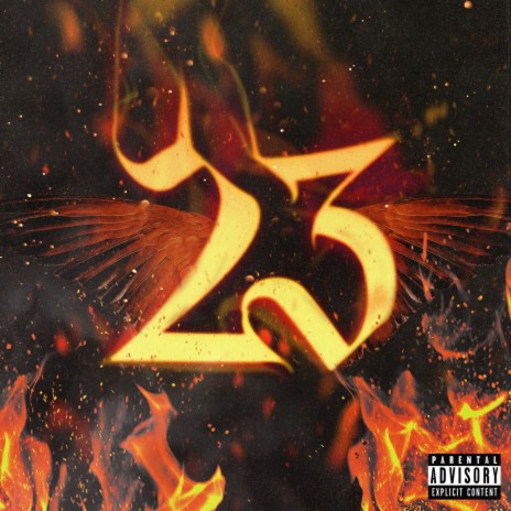 23