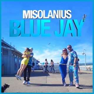 Blue Jay lyrics | Boomplay Music