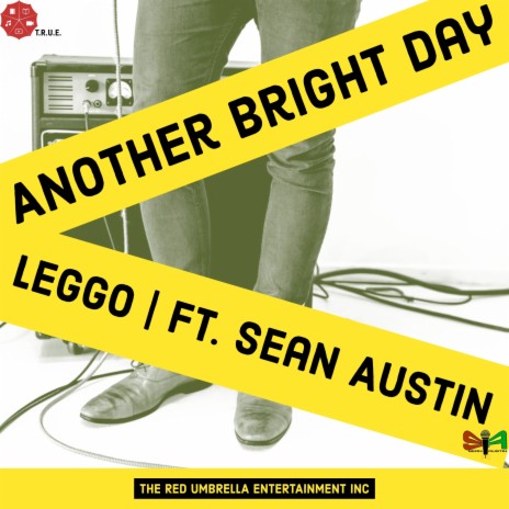 Another Bright Day ft. Sean Austin | Boomplay Music
