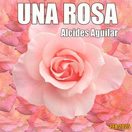 UNA ROSA