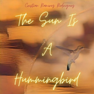 the sun is a hummingbird lyrics | Boomplay Music