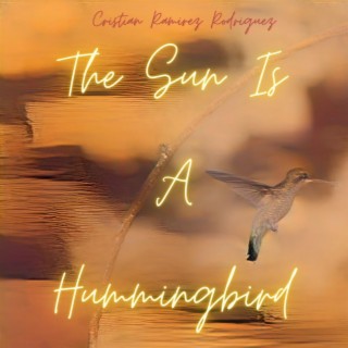 the sun is a hummingbird