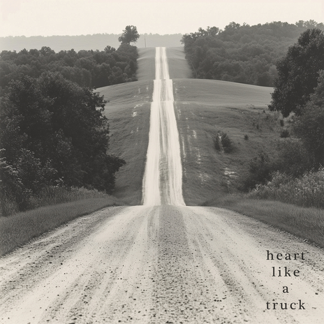 heart like a truck | Boomplay Music