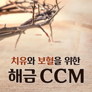 CCM for Healing (Haegeum Cover Ver.)