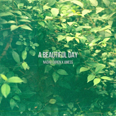 A beautiful day ft. Nadav Cohen | Boomplay Music