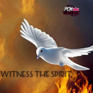 Witness The Spirit lyrics | Boomplay Music