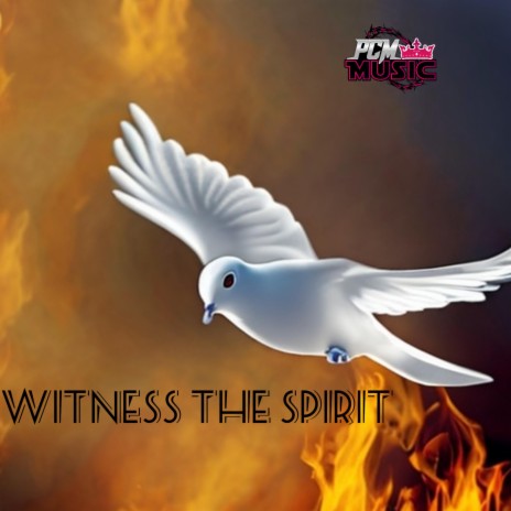 Witness The Spirit | Boomplay Music