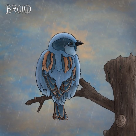 Il y a toujours des oiseaux sous la pluie