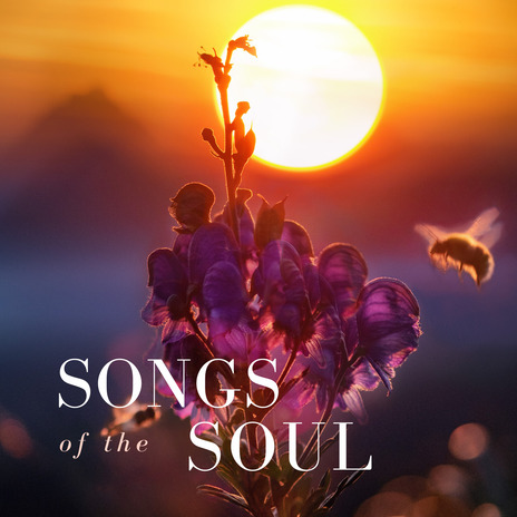 Song without Words | Boomplay Music