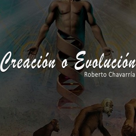 Creacion o Evolucion | Boomplay Music