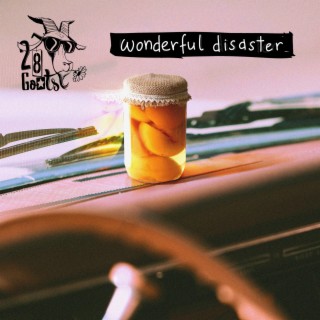 Wonderful Disaster lyrics | Boomplay Music