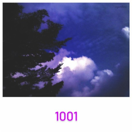 1001 | Boomplay Music