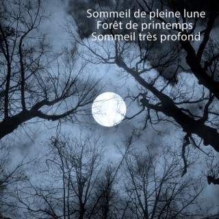 Sommeil de pleine lune – Forêt de printemps – Sommeil très profond