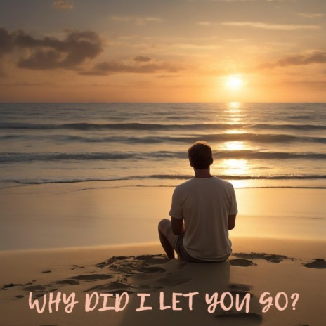 Why Did I Let You Go? | Boomplay Music