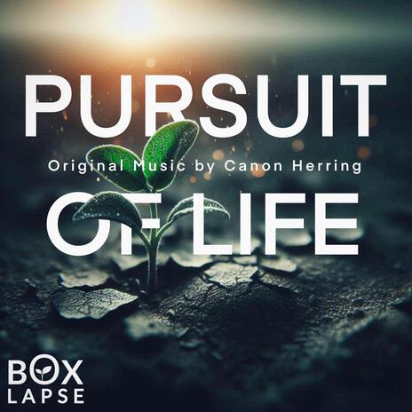 Pursuit of Life | Boomplay Music