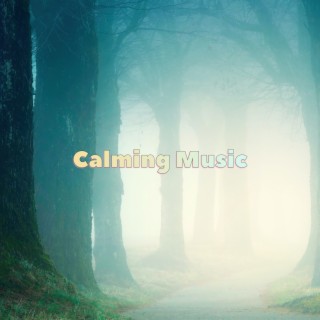 Calming Music and Soothing Music Masters