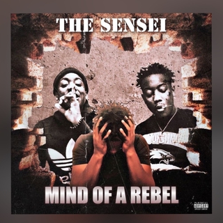 MIND OF A REBEL