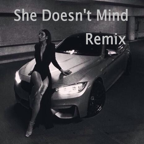 She Doesn't Mind | Boomplay Music