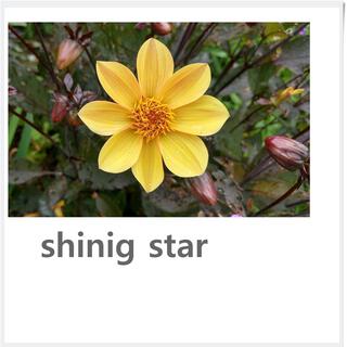 shinig star