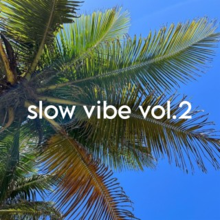 Slow Vibe vol.2