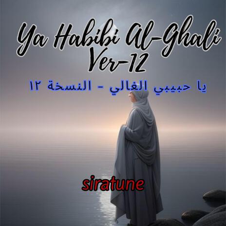 Ya Habibi Al-Ghali Ver-12 | Boomplay Music