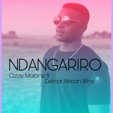 NDANGARIRO ft. Delmar African Wine | Boomplay Music