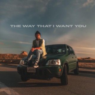 The Way That I Want You (Radio Edit)