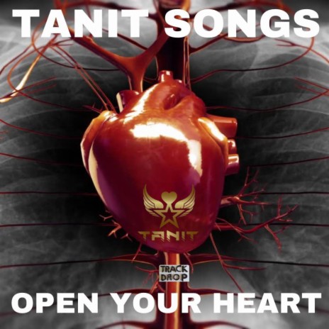 Open Your Heart | Boomplay Music