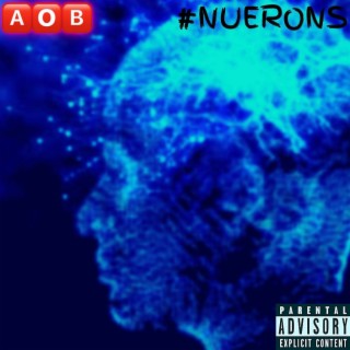 #Nuerons