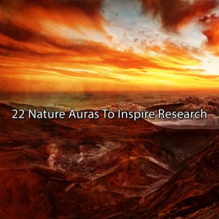 22 Nature Auras To Inspire Research