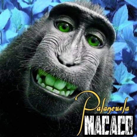 Macaco ft. Sofi-XP