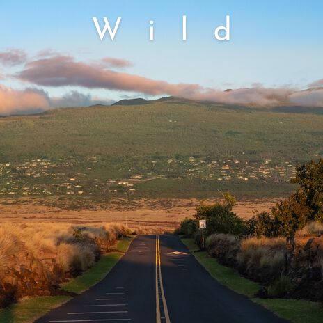 Wild | Boomplay Music