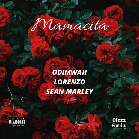 MAMACITA | Boomplay Music