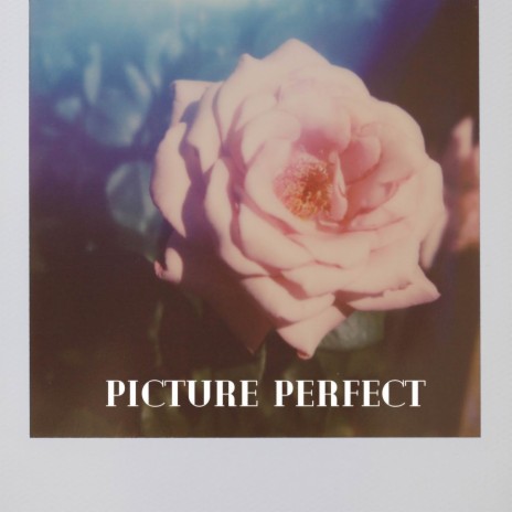 Picture Perfect | Boomplay Music