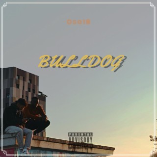 Bulldog lyrics | Boomplay Music