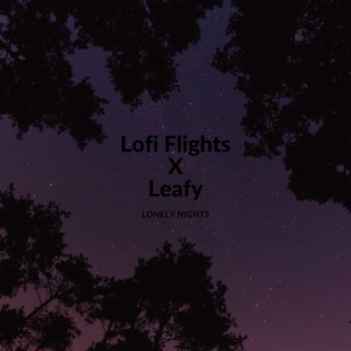 Lo-fi Flights