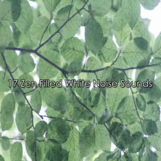 17 Zen Filled White Noise Sounds