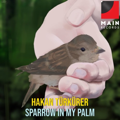 Sparrow in my palm | Boomplay Music