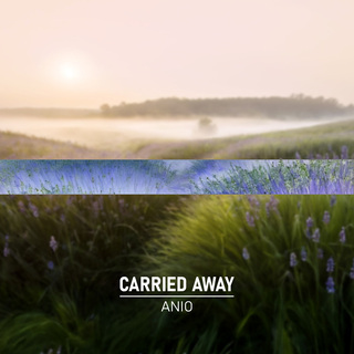 Carried Away