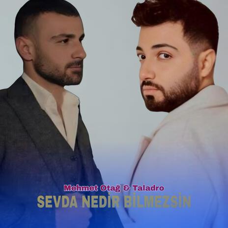 Sevda Nedir Bilmezsin (taladro) | Boomplay Music