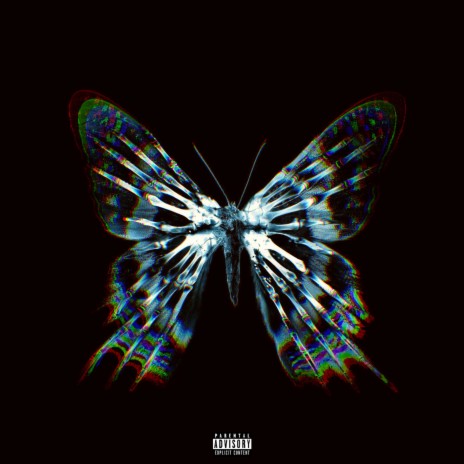 Butterflies ft. Zayd & Eli | Boomplay Music