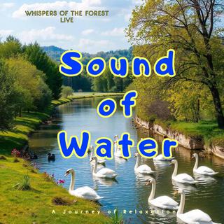 Sound of Water