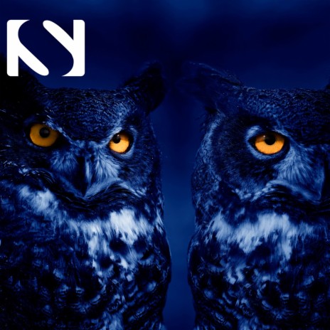 Owl Sounds at Night ft. Nature Sound Series, Owl Sounds Recordings & Bird Sounds