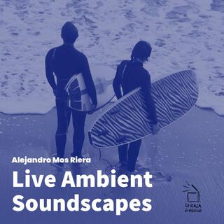 Live Ambient Soundscapes