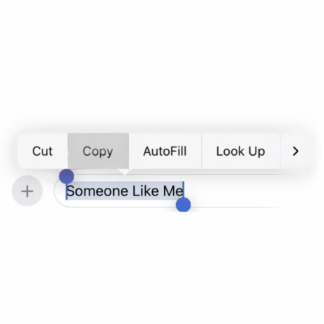 Someone Like Me | Boomplay Music