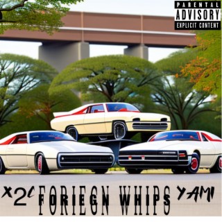 Forign whips