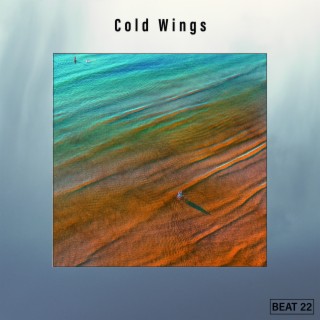 Cold Wings Beat 22