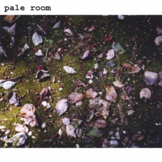 pale room